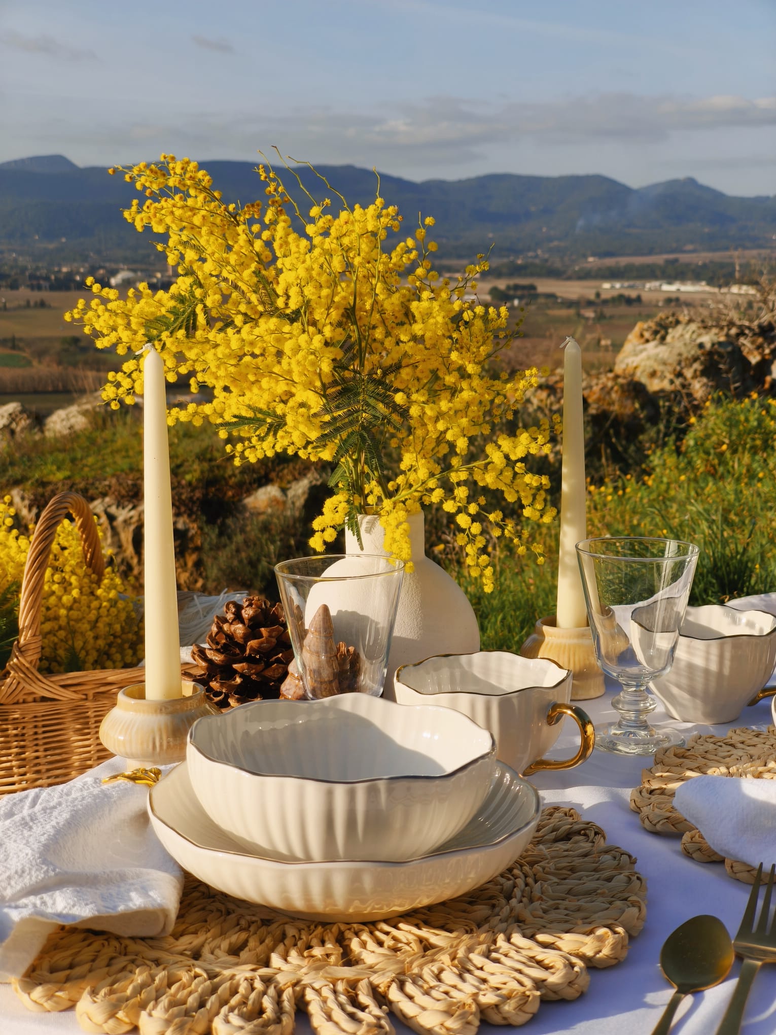 présentation-picnic-décoration-fleur